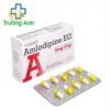 AMLODIPINE EG 5MG CAP - ПРЕПАРАТЫ ОТ ВЫСОКОГО АРТЕРИАЛЬНОГО ДАВЛЕНИЯ