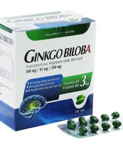 ГИНКГО БИЛОБА (GINKGO BILOBA 240 MG) + B1 + B6, 100 КАПСУЛ, ВЬЕТНАМ