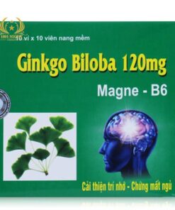 ГИНКГО БИЛОБА (GINKGO BILOBA 120 MG) + MAGNE + B6, 100 КАПСУЛ ВЬЕТНАМ