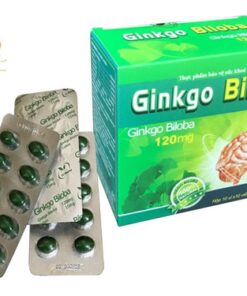 ГИНКГО БИЛОБА (GINKGO BILOBA 120 MG) 100 КАПСУЛ ВЬЕТНАМ