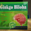 ГИНКГО БИЛОБА (GINKGO BILOBA 240 MG) 100 КАПСУЛ ВЬЕТНАМ