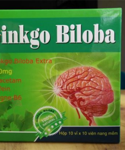 ГИНКГО БИЛОБА (GINKGO BILOBA 240 MG) 100 КАПСУЛ ВЬЕТНАМ