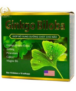 ГИНКГО БИЛОБА (GINKGO BILOBA 200 MG) 100 КАПСУЛ ВЬЕТНАМ