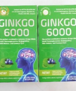 ГИНКГО БИЛОБА (GINKGO BILOBA) 6000МГ